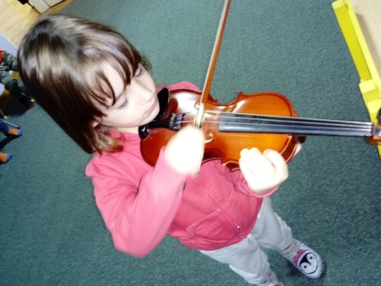 Violina